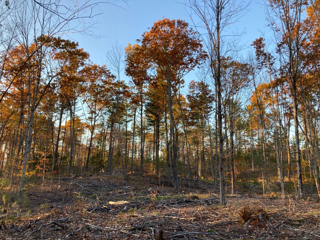 Sustainable harvest results